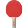 Table Tennis Bat Pimpled