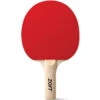 Zoft Table Tennis Bat Smooth With Sponge Rubber