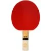 Sure Shot Matthew Syed 10 Table Tennis Bat