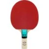 Sure Shot Matthew Syed 25 Table Tennis Bat